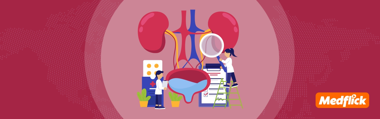 Explore the Best Kidney Specialist in the World